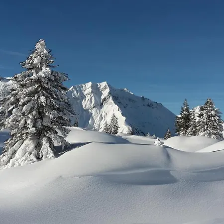 Marion Pensionat Holzgau